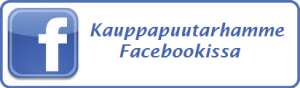 facebook ylitalo